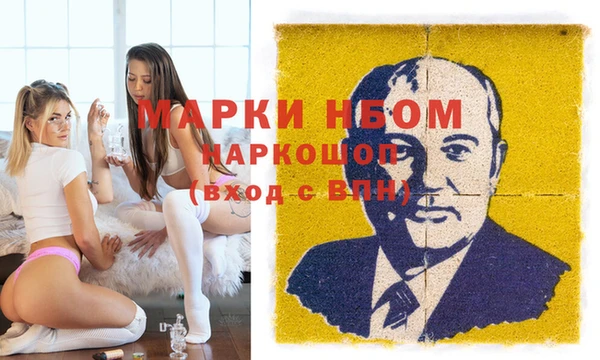 стафф Дубна